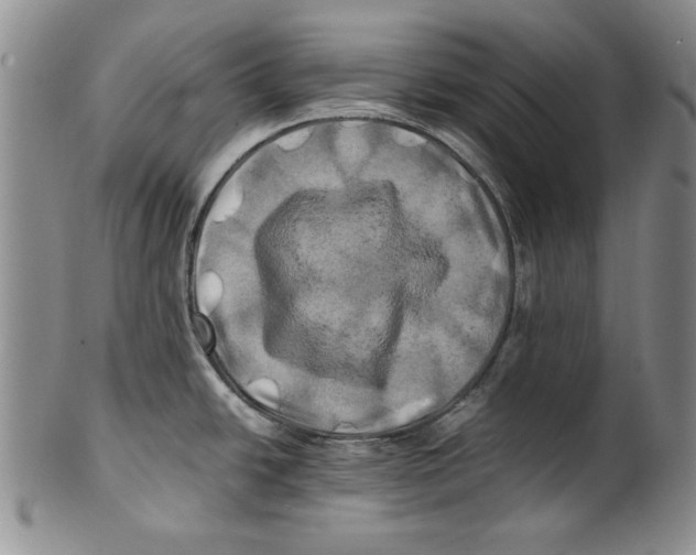 X0000100761438200807171331