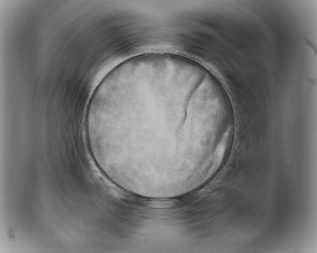 X0000100761440200807171331
