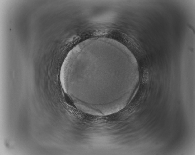 X0000100761441200807171331