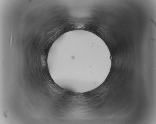 X0000100761442200807171331