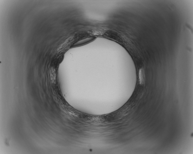 X0000100761443200807171331