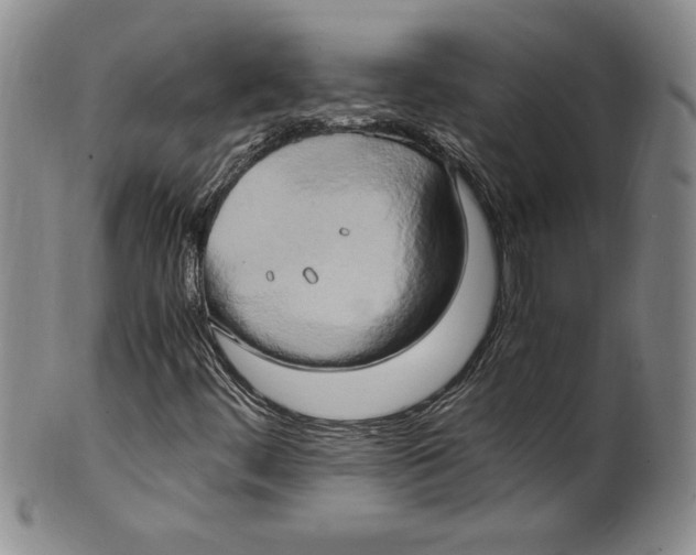 X0000100761444200807171331