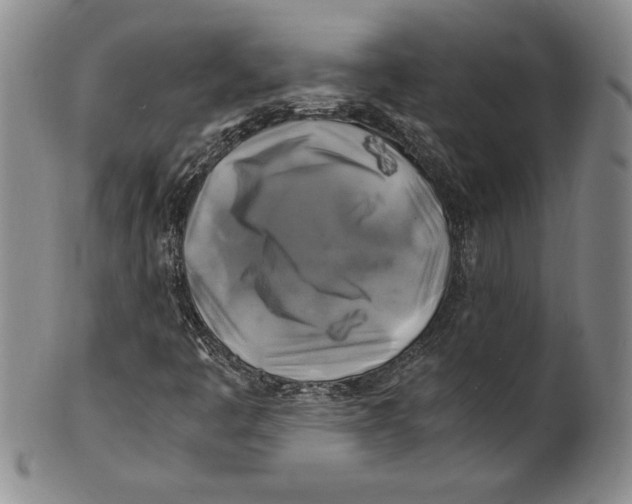 X0000100761445200807171331