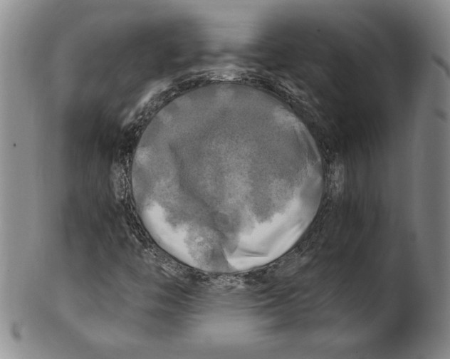 X0000100761446200807171331