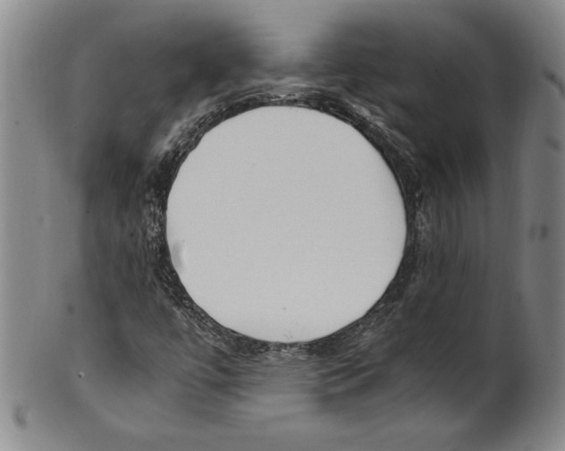 X0000100761447200807171331