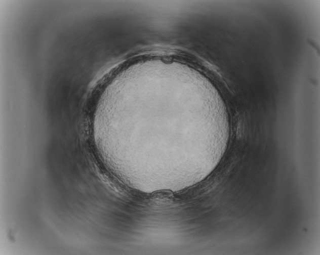 X0000100761448200807171331