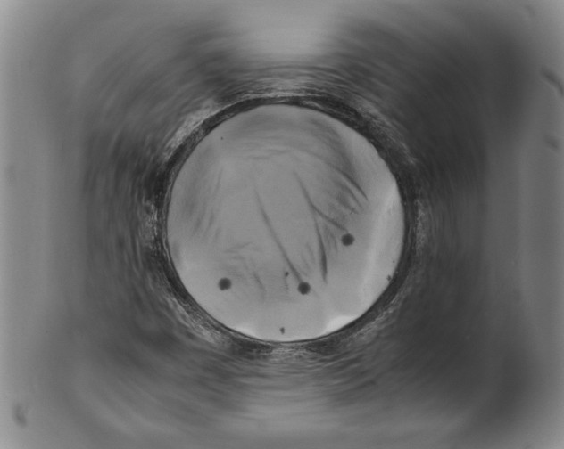 X0000100761449200807171331