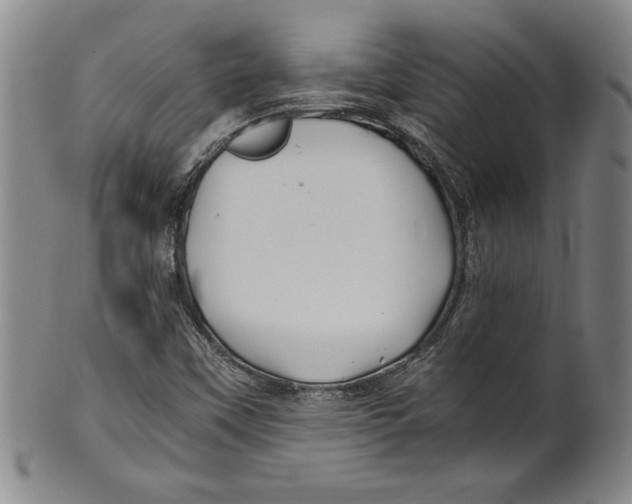 X0000100761451200807171331