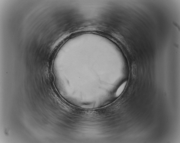 X0000100761452200807171331