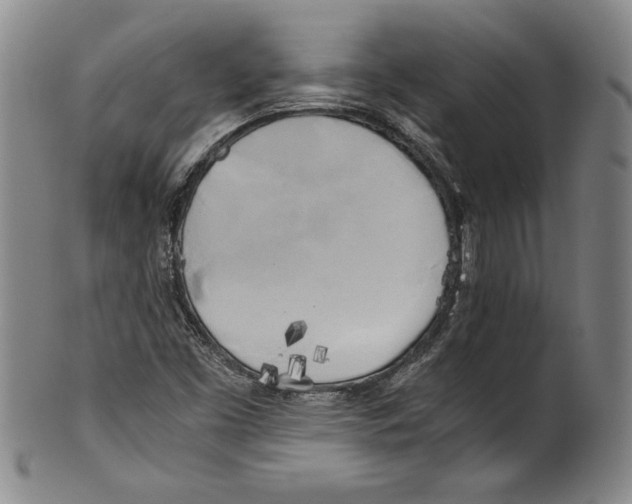 X0000100761453200807171331