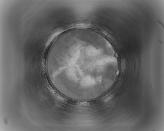 X0000100761454200807171331