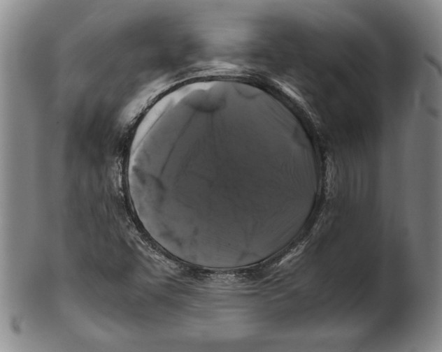 X0000100761455200807171330