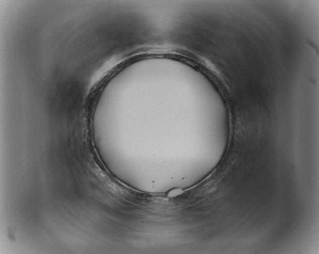 X0000100761456200807171330