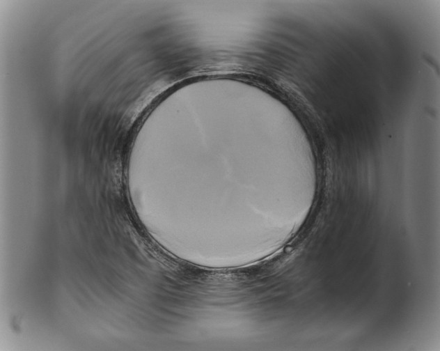 X0000100761457200807171330