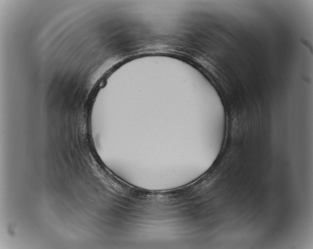 X0000100761458200807171330