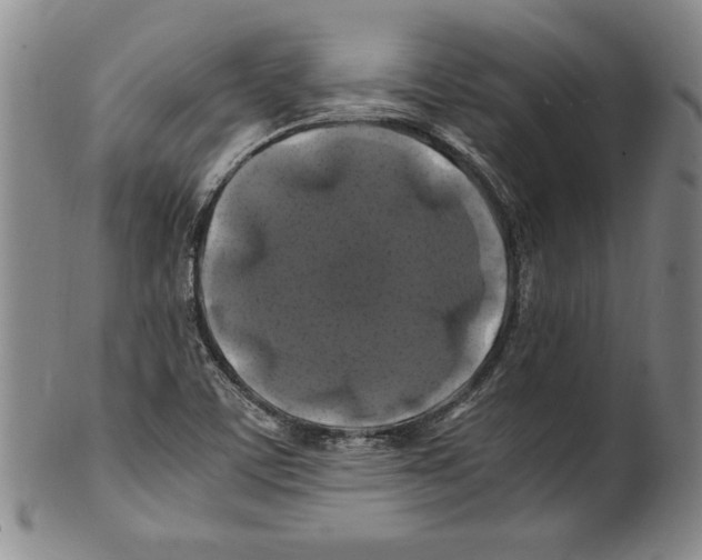X0000100761459200807171330