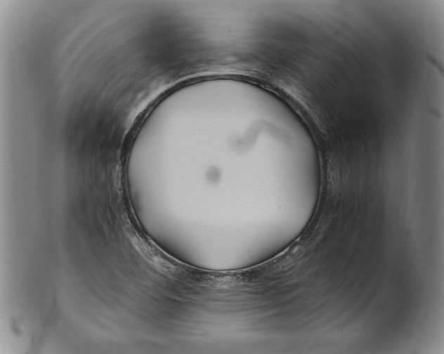 X0000100761460200807171330