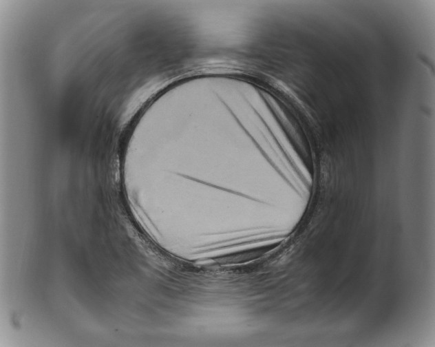 X0000100761461200807171330