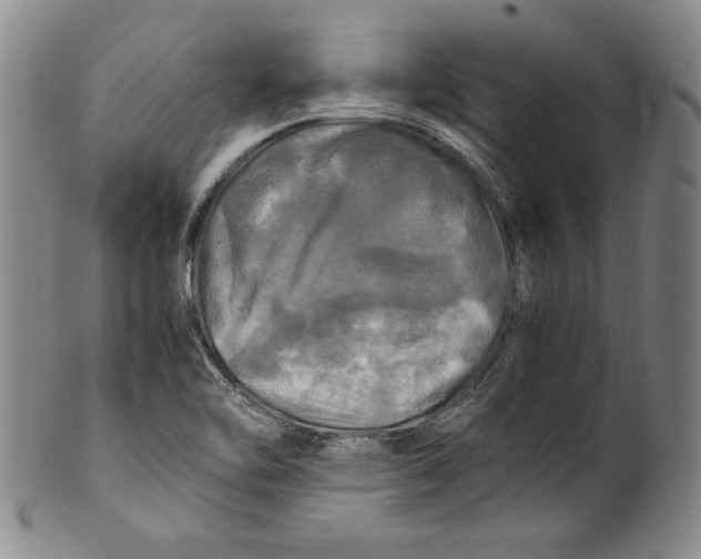 X0000100761462200807171330