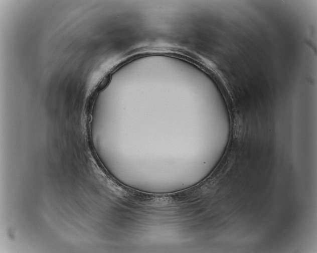 X0000100761464200807171330