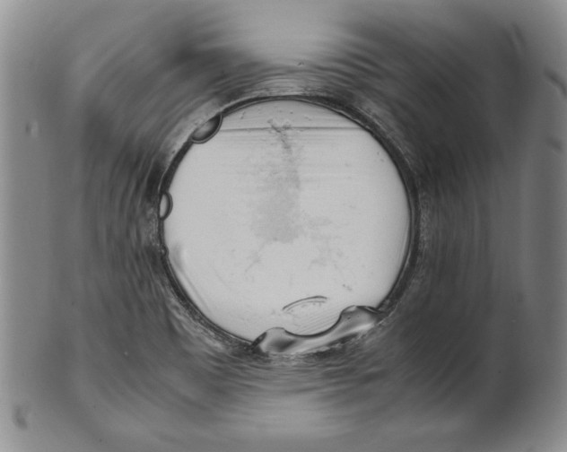 X0000100761465200807171330