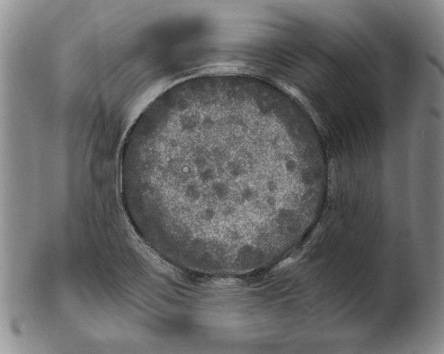 X0000100761467200807171330