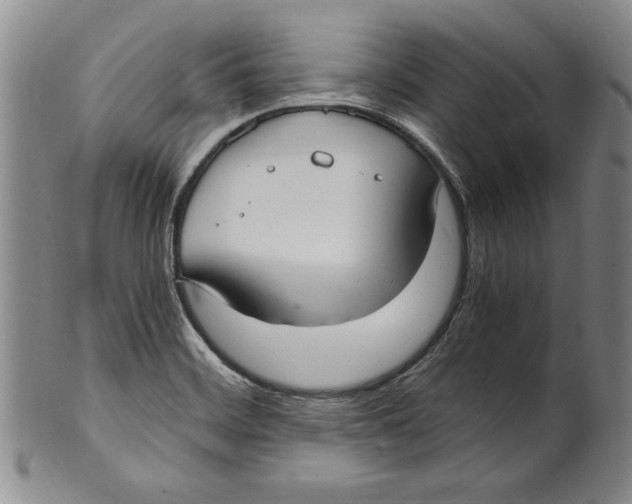 X0000100761468200807171330