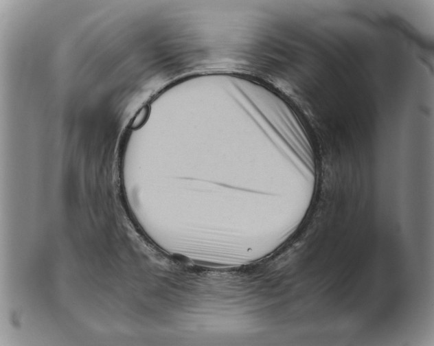 X0000100761469200807171330