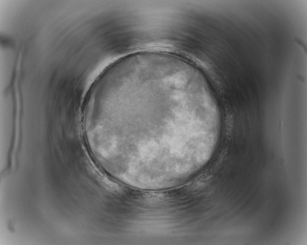 X0000100761470200807171330