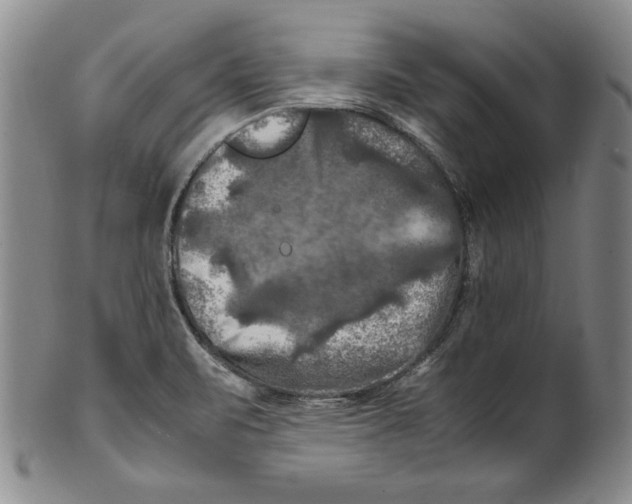 X0000100761471200807171330
