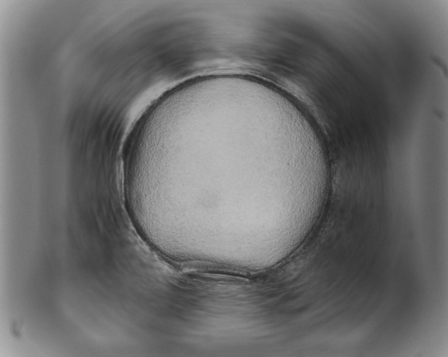 X0000100761472200807171330