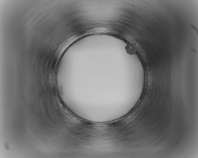 X0000100761473200807171330