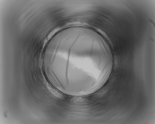 X0000100761474200807171330