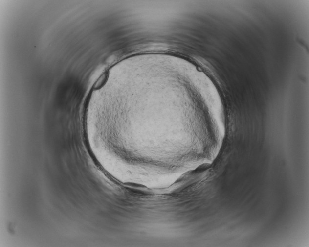 X0000100761475200807171330