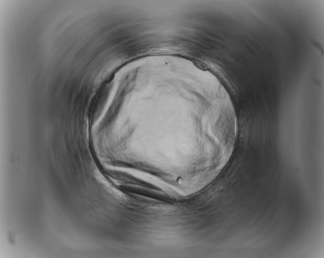 X0000100761476200807171330