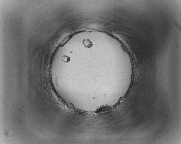 X0000100761477200807171330