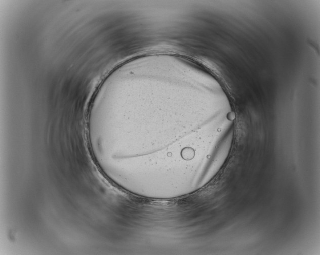 X0000100761478200807171330