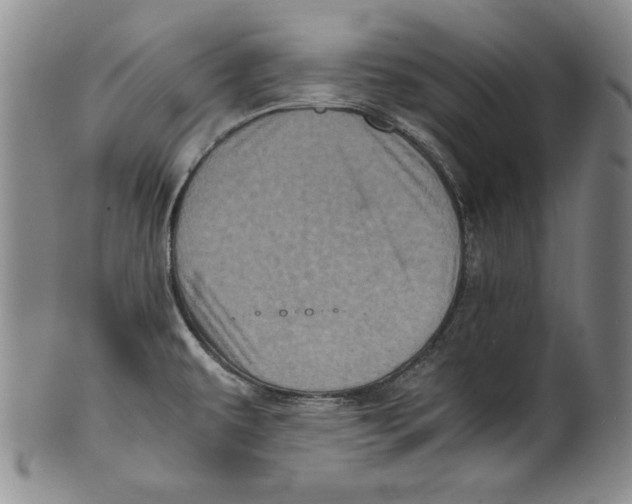 X0000100761479200807171330