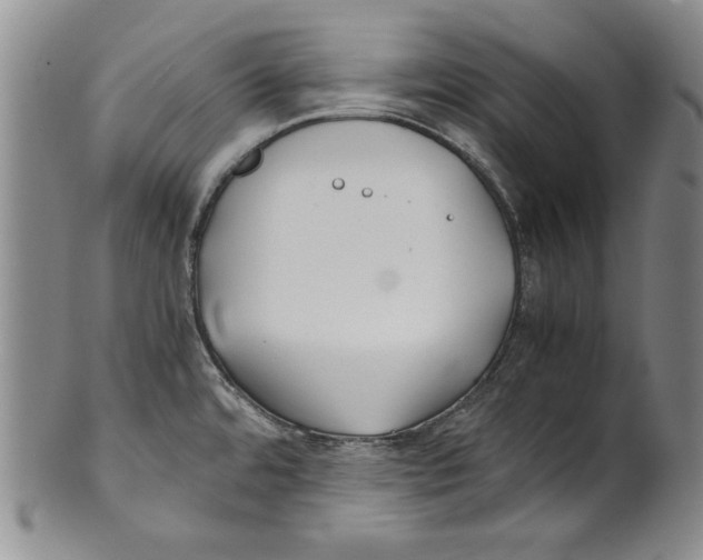 X0000100761480200807171330