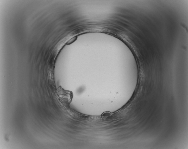 X0000100761481200807171330