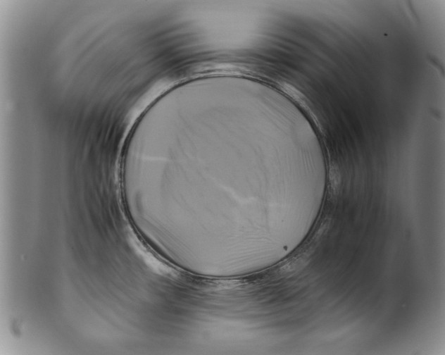 X0000100761482200807171330