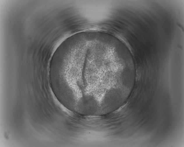 X0000100761483200807171330