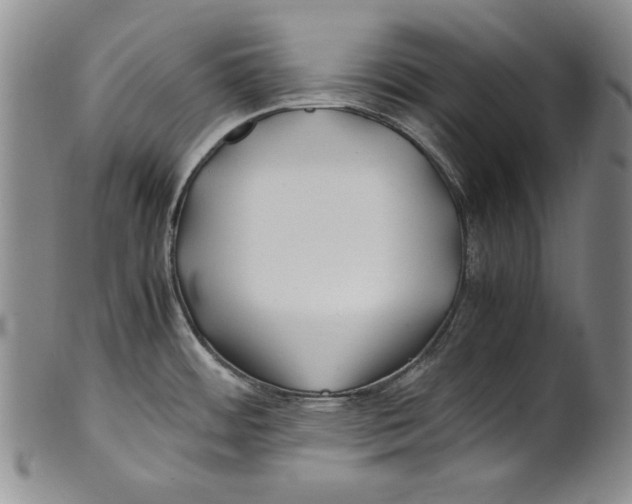 X0000100761484200807171330