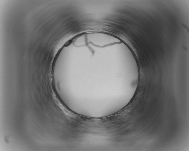 X0000100761485200807171330
