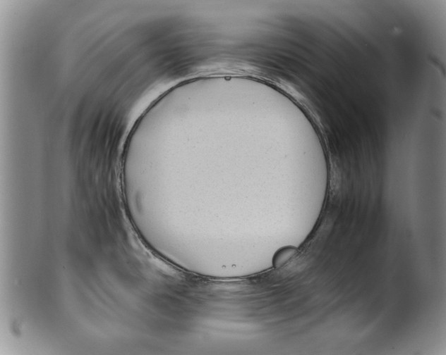 X0000100761486200807171330