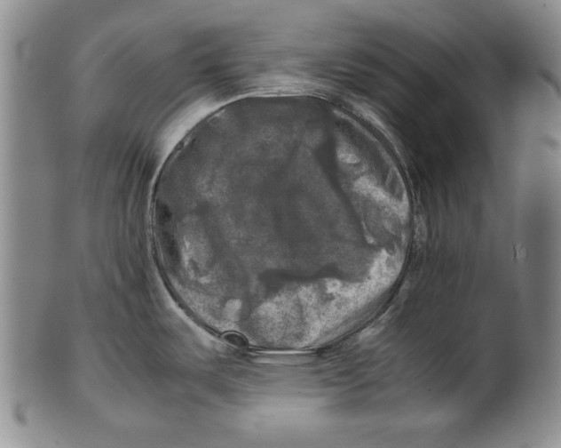 X0000100761487200807171330