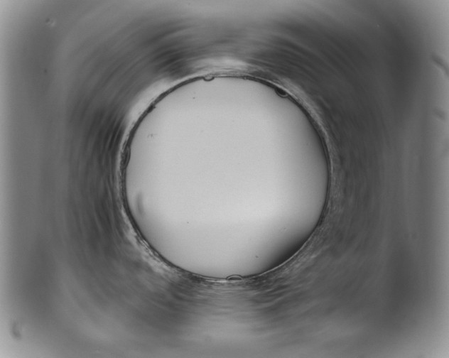 X0000100761488200807171330