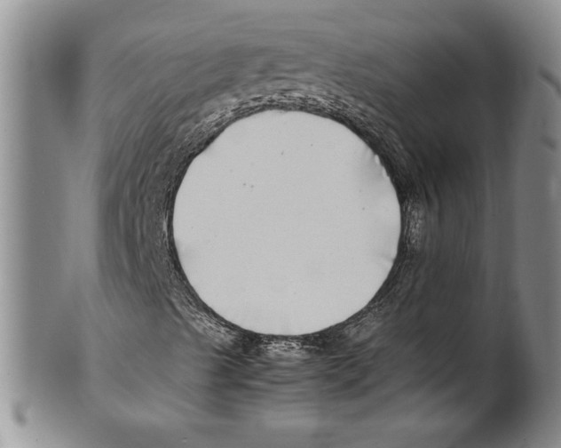 X0000100761489200807171329