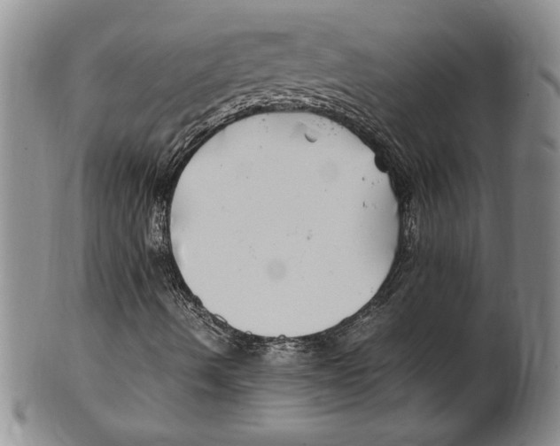 X0000100761490200807171329