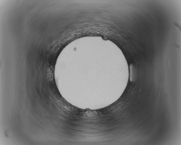 X0000100761491200807171329